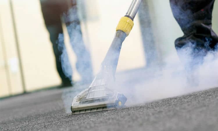Reasons Why Steam Carpet Cleaning Is in Demand