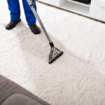 7 Essential Carpet Cleaning Tips From The Professionals