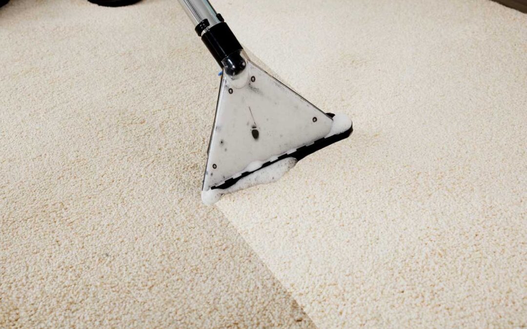 7 Factors To Consider When Wanting To Remove A Stain From Your Carpet