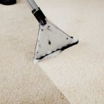 7 Factors To Consider When Wanting To Remove A Stain From Your Carpet