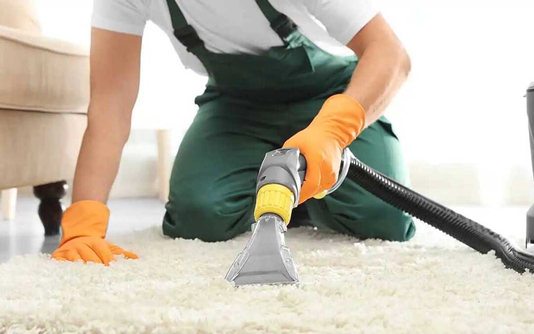 Common Carpet Stain Removal Myths That Could Cause More Harm Than Good